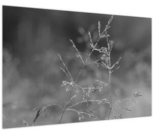 Slika - Seoska livada (90x60 cm)