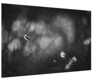 Slika - Livadarka (90x60 cm)