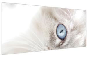 Slika - Mačka s plavim očima (120x50 cm)
