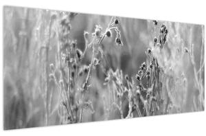Slika - Divlja livada (120x50 cm)