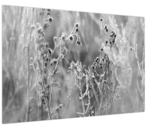 Slika - Divlja livada (90x60 cm)