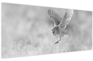 Slika - Sova u polju (120x50 cm)