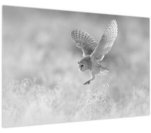 Slika - Sova u polju (90x60 cm)