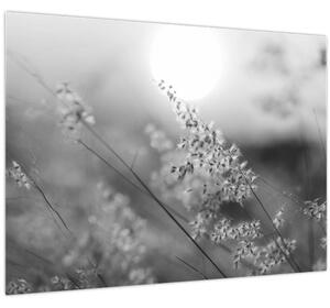 Slika - Jesenja livada (70x50 cm)