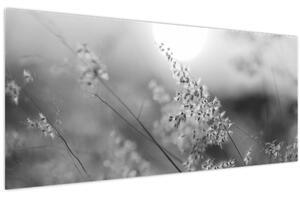 Slika - Jesenja livada (120x50 cm)
