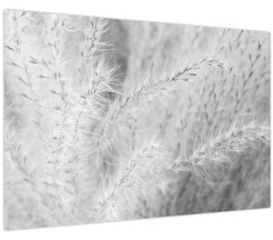 Slika - Pampas trava N⁰1 (90x60 cm)