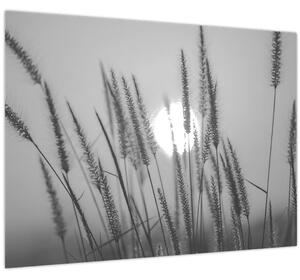 Slika - Livada u zalasku sunca (70x50 cm)