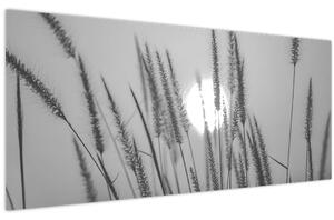 Slika - Livada u zalasku sunca (120x50 cm)
