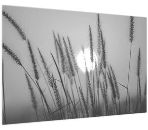 Slika - Livada u zalasku sunca (90x60 cm)