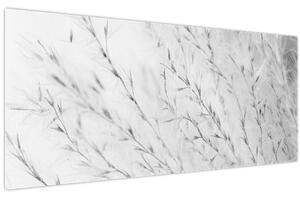 Slika - Pampas trava N⁰2 (120x50 cm)