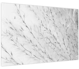 Slika - Pampas trava N⁰2 (90x60 cm)