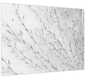 Slika - Pampas trava N⁰2 (70x50 cm)