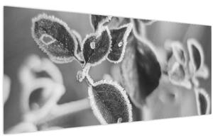 Slika - Priroda u jesen (120x50 cm)