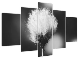 Slika - Crno-bijela pamučna trava (150x105 cm)