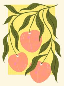 Ilustracija Peaches, Melissa Donne