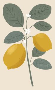 Ilustracija Lemon flower, Katarzyna Gąsiorowska