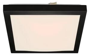Briloner 3502-015 - LED Stropna svjetiljka FLEDO LED/12W/230V
