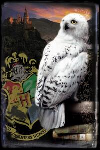 Umjetnički plakat Harry Potter - Hedwig, (26.7 x 40 cm)