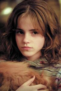 Ilustracija Harry Potter - Hermione Granger
