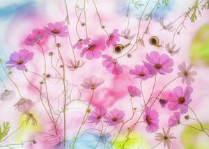 Umjetnička fotografija Autumn dream, Miharu, (40 x 30 cm)