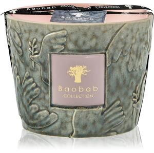 Baobab Collection Paz Colombe mirisna svijeća 500 g