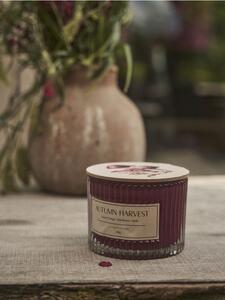 Sinsay - Svijeća Autumn Harvest
