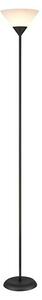 Tween Light Stajaća svjetiljka (Visina: 178 cm, Maks. snaga sustava: 60 W)