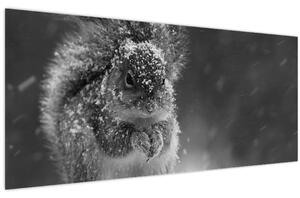 Slika - Vjeverica zimi (120x50 cm)