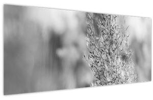 Slika - Boho pampas trava (120x50 cm)