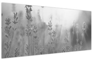 Slika - Lavanda (120x50 cm)