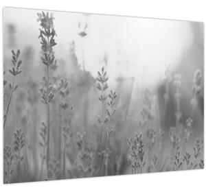 Slika - Lavanda (70x50 cm)