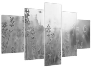 Slika - Lavanda (150x105 cm)