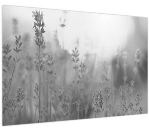 Slika - Lavanda (90x60 cm)