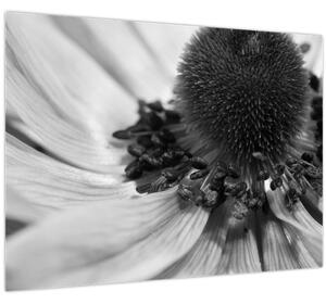 Slika - Cvijet u crno-bijeloj boji (70x50 cm)