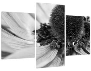 Slika - Cvijet u crno-bijeloj boji (90x60 cm)