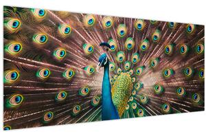 Slika - Paun (120x50 cm)