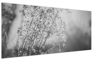 Slika - Livada poslije kiše (120x50 cm)