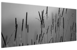 Slika - Vlati trave (120x50 cm)