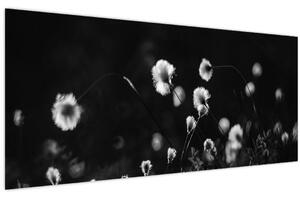 Slika - Livada s pamučnicom N⁰1 (120x50 cm)