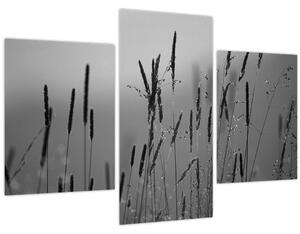 Slika - Vlati trave (90x60 cm)