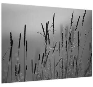 Slika - Vlati trave (70x50 cm)