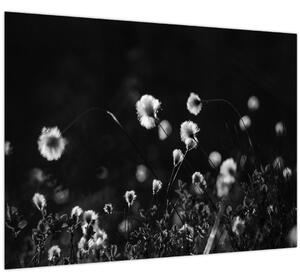 Staklena slika - Livada s pamučnicom N⁰1 (70x50 cm)