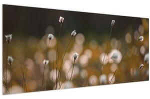 Slika - Livada s pamučnicom N⁰2 (120x50 cm)