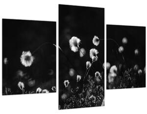 Slika - Livada s pamučnicom N⁰1 (90x60 cm)