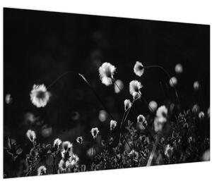 Slika - Livada s pamučnicom N⁰1 (90x60 cm)