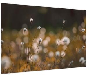 Slika - Livada s pamučnicom N⁰2 (90x60 cm)