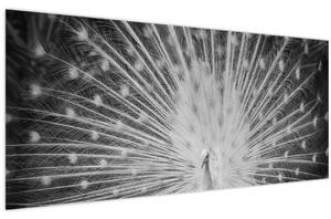 Slika - Bijeli paun (120x50 cm)
