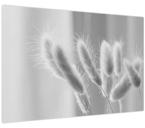Slika - Zečji rep trava (90x60 cm)