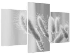 Slika - Zečji rep trava (90x60 cm)