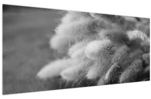 Slika - zečji rep trava na stolu (120x50 cm)